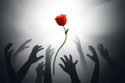 Illustration driven - Image 1