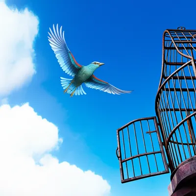 Illustration unbound - Image 1