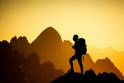 Illustration hounds - Image 1