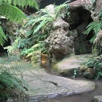 Illustration grotto - Image 2