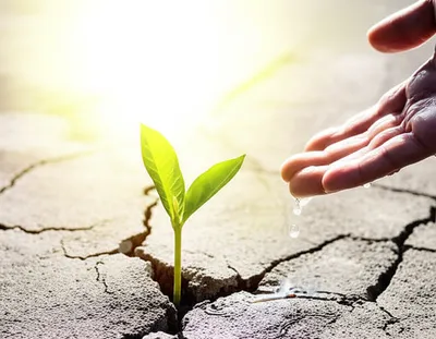 Illustration advances - Image 1