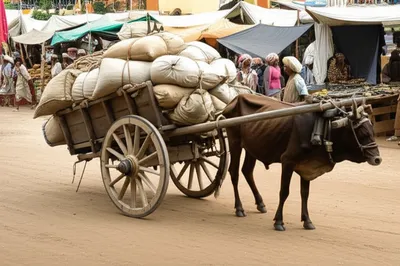 Illustration carts - Image 1