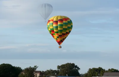 Illustration lowers - Image 2