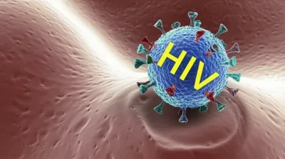 Illustration bug - Image 1