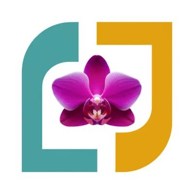 Illustration bracketing - Image 1