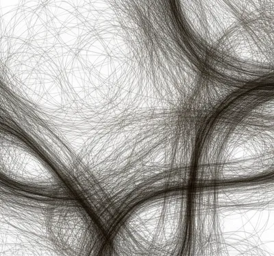 Illustration hair - Image 1