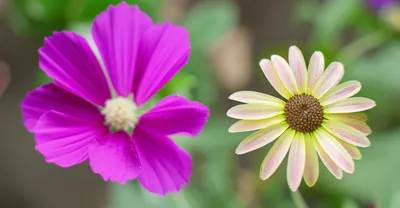 Illustration attrition - Image 1