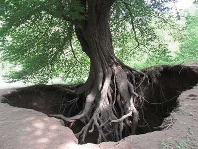 Illustration mines - Image 1