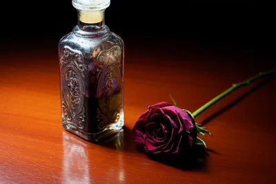 Illustration poisons - Image 1