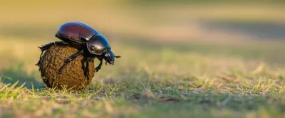 Illustration clock - Image 1