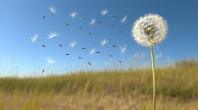 Illustration floats - Image 1