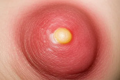 Illustration gathering - Image 1