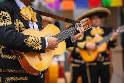 Illustration vihuela - Image 1