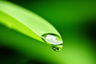 Illustration pending - Image 1