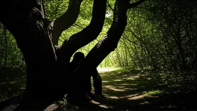 Illustration lurked - Image 1