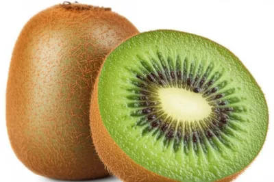 Illustration kiwi - Image 1