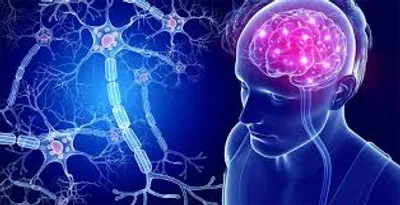 Illustration neurological - Image 2