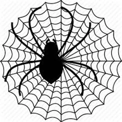 Illustration spider - Image 2