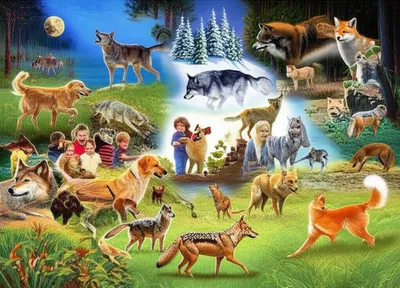 Illustration dogs - Image 1