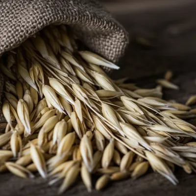 Illustration grits - Image 1