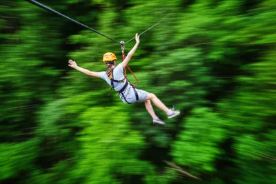 Illustration zip - Image 1