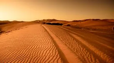 Illustration roll - Image 2