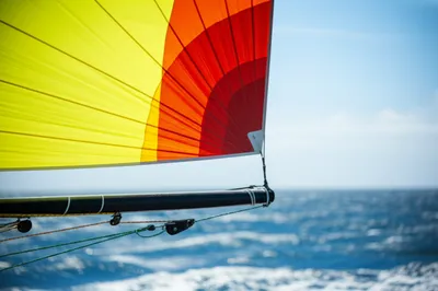 Illustration nock - Image 1