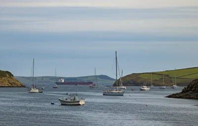 Illustration rode - Image 1