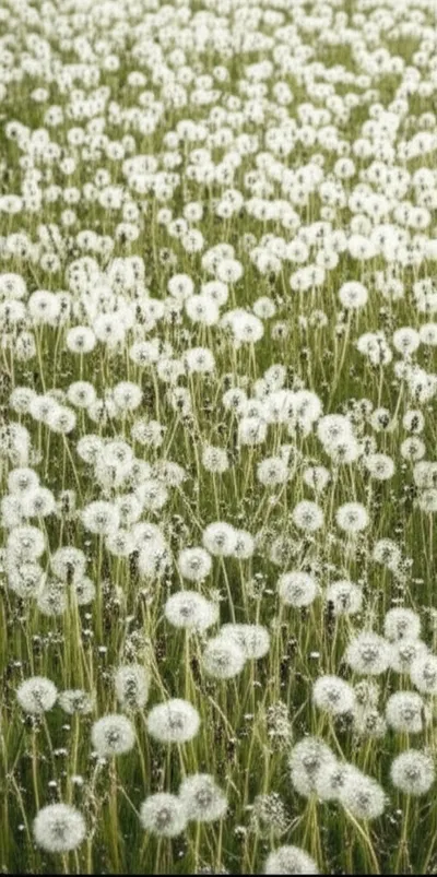 Illustration brief - Image 1