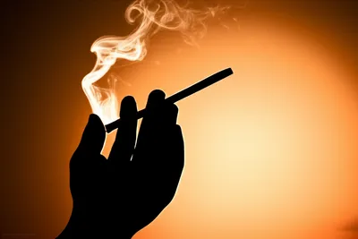 Illustration blazes - Image 1