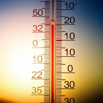 Illustration proxy - Image 1