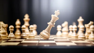 Illustration flips - Image 1