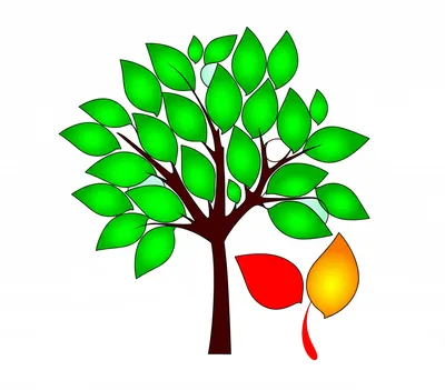 Illustration affix - Image 1