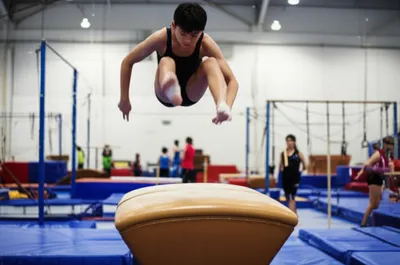 Illustration bucks - Image 1