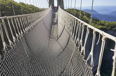 Illustration guarantees