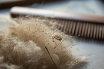 Illustration noil - Image 1