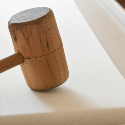 Illustration beetling - Image 1