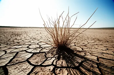 Illustration infertile