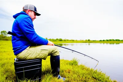 Illustration fish - Image 1