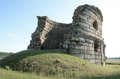 Illustration mole - Image 1