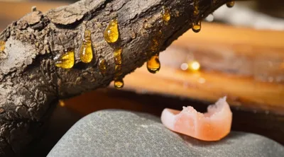 Illustration mastics - Image 1