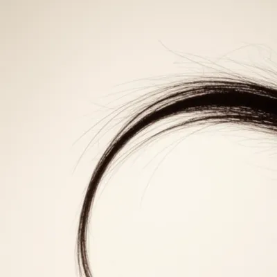 Illustration rib - Image 1