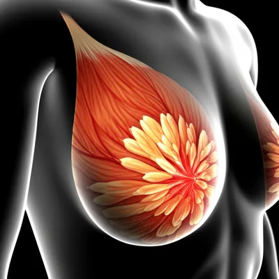 Illustration tit - Image 1