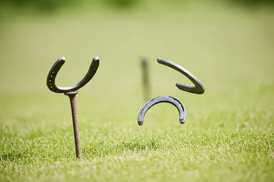 Illustration horseshoes - Image 1