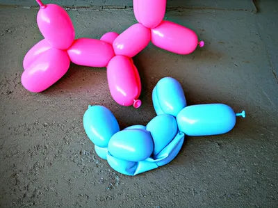 Illustration saggy - Image 1