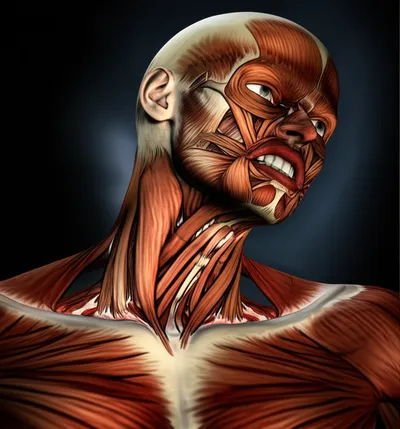 Illustration tetanus - Image 1