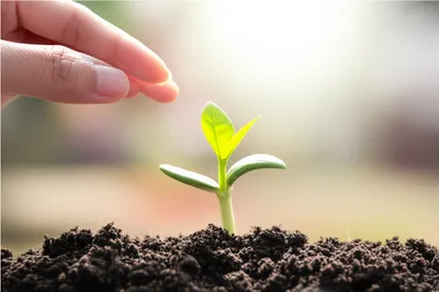 Illustration raising - Image 1