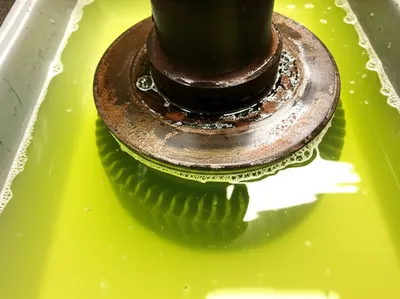 Illustration pickle - Image 1