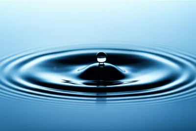 Illustration pebble - Image 1