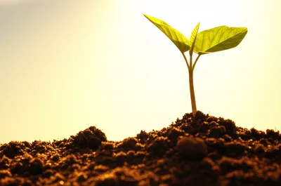 Illustration intro - Image 1